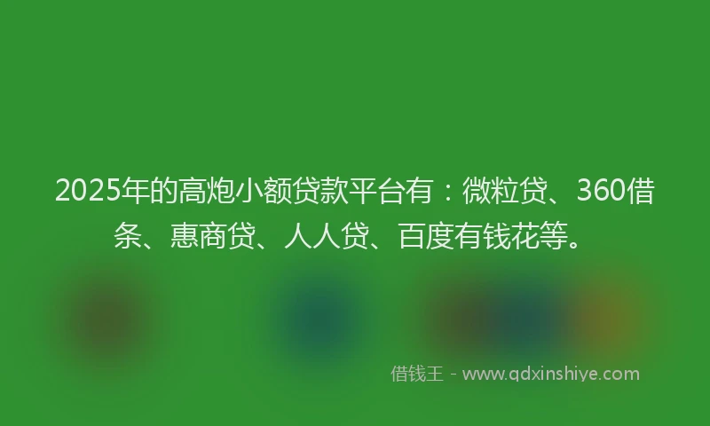 2025年的高炮小额贷款平台有：微粒贷、360借条、惠商贷、人人贷、百度有钱花等。