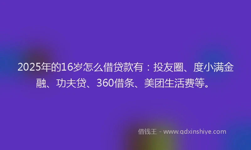 2025年的16岁怎么借贷款有：投友圈、度小满金融、功夫贷、360借条、美团生活费等。