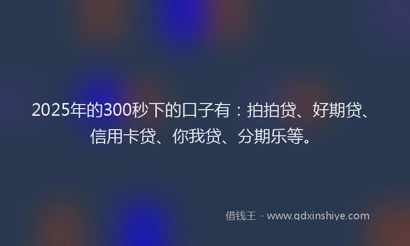 2025年的300秒下的口子有：拍拍贷、好期贷、信用卡贷、你我贷、分期乐等。