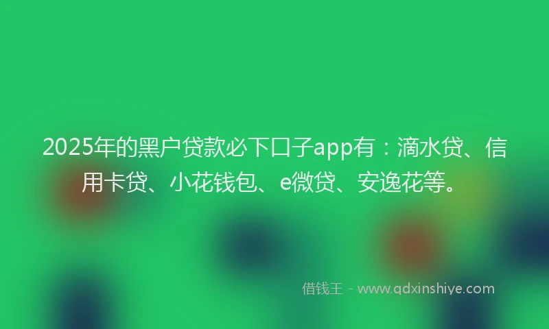 2025年的黑户贷款必下口子app有：滴水贷、信用卡贷、小花钱包、e微贷、安逸花等。