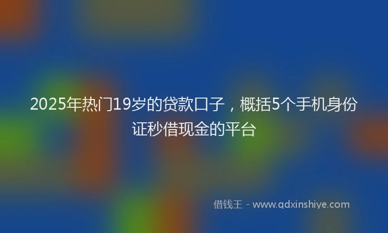 2025年热门19岁的贷款口子，概括5个手机身份证秒借现金的平台