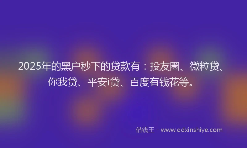 2025年的黑户秒下的贷款有：投友圈、微粒贷、你我贷、平安i贷、百度有钱花等。