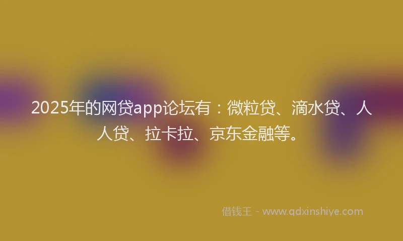 2025年的网贷app论坛有：微粒贷、滴水贷、人人贷、拉卡拉、京东金融等。