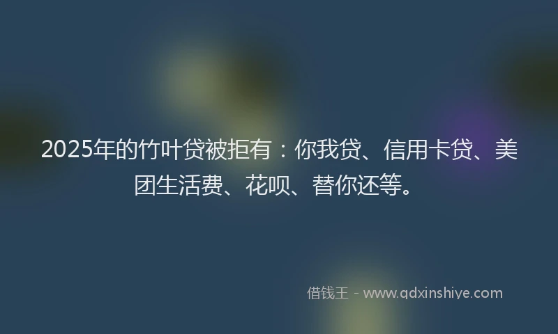 2025年的竹叶贷被拒有：你我贷、信用卡贷、美团生活费、花呗、替你还等。