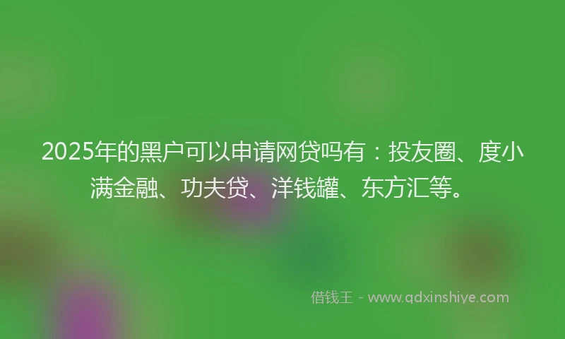2025年的黑户可以申请网贷吗有：投友圈、度小满金融、功夫贷、洋钱罐、东方汇等。