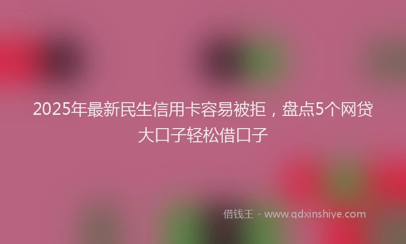 2025年最新民生信用卡容易被拒，盘点5个网贷大口子轻松借口子