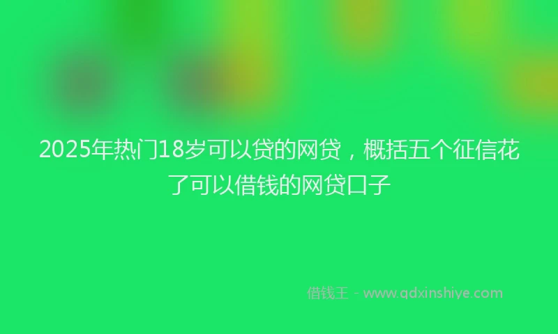 2025年热门18岁可以贷的网贷，概括五个征信花了可以借钱的网贷口子