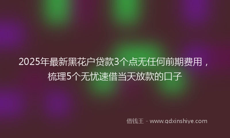 2025年最新黑花户贷款3个点无任何前期费用，梳理5个无忧速借当天放款的口子
