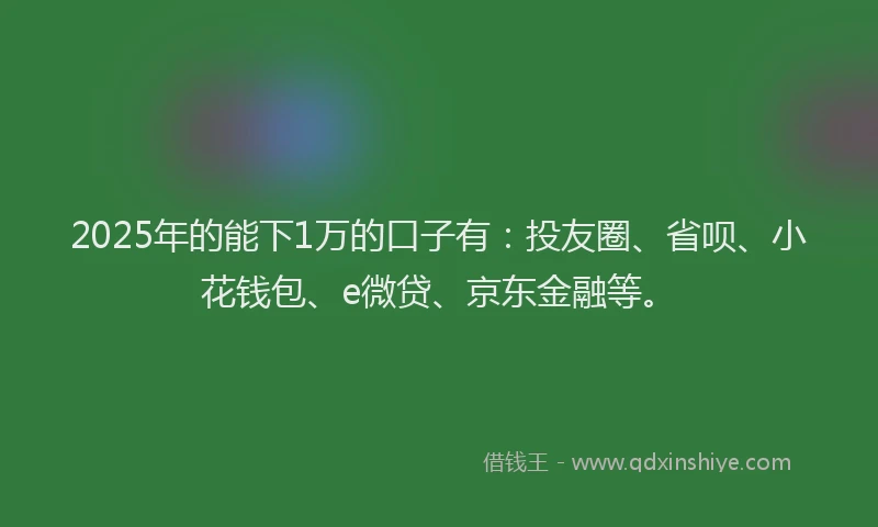 2025年的能下1万的口子有：投友圈、省呗、小花钱包、e微贷、京东金融等。