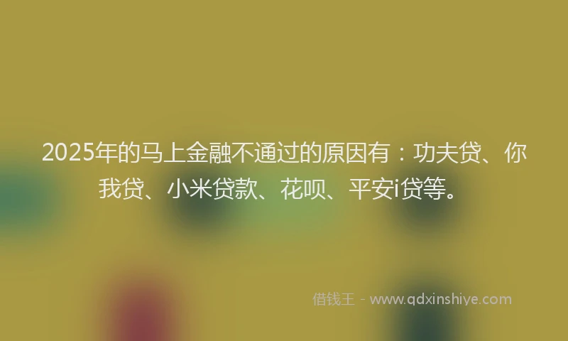 2025年的马上金融不通过的原因有：功夫贷、你我贷、小米贷款、花呗、平安i贷等。
