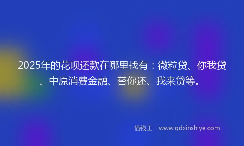 2025年的花呗还款在哪里找有：微粒贷、你我贷、中原消费金融、替你还、我来贷等。