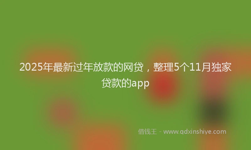 2025年最新过年放款的网贷，整理5个11月独家贷款的app