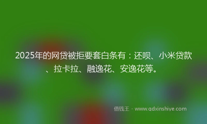 2025年的网贷被拒要套白条有：还呗、小米贷款、拉卡拉、融逸花、安逸花等。