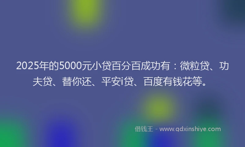 2025年的5000元小贷百分百成功有：微粒贷、功夫贷、替你还、平安i贷、百度有钱花等。