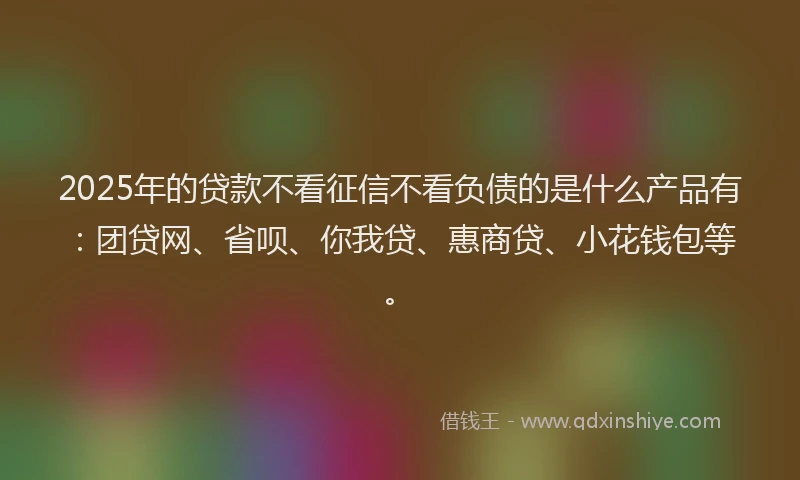 2025年的贷款不看征信不看负债的是什么产品有：团贷网、省呗、你我贷、惠商贷、小花钱包等。