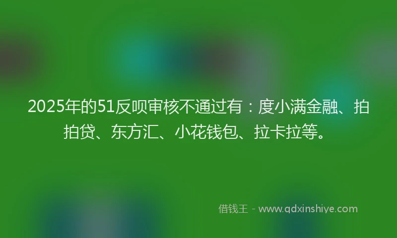 2025年的51反呗审核不通过有：度小满金融、拍拍贷、东方汇、小花钱包、拉卡拉等。