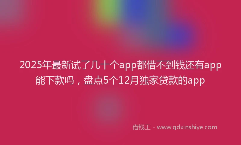 2025年最新试了几十个app都借不到钱还有app能下款吗，盘点5个12月独家贷款的app