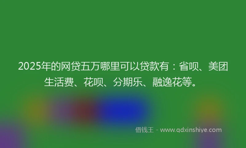 2025年的网贷五万哪里可以贷款有：省呗、美团生活费、花呗、分期乐、融逸花等。