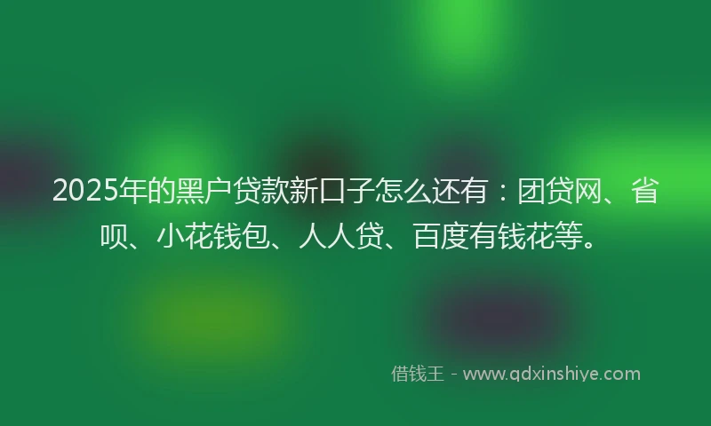 2025年的黑户贷款新口子怎么还有：团贷网、省呗、小花钱包、人人贷、百度有钱花等。