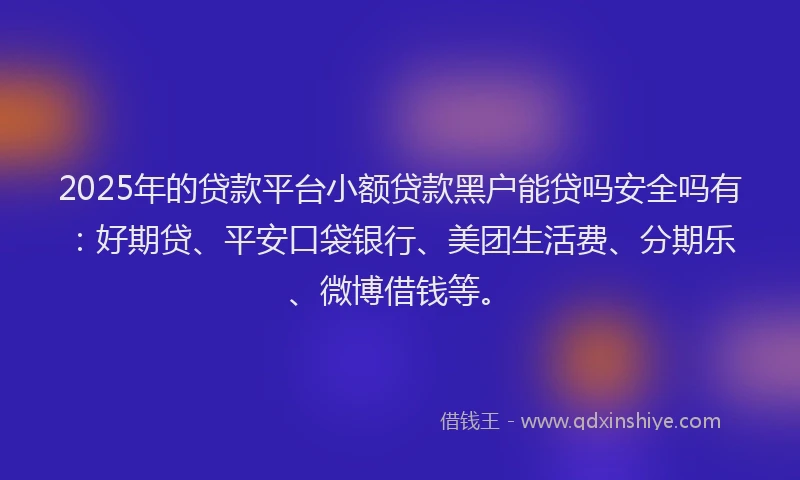 2025年的贷款平台小额贷款黑户能贷吗安全吗有：好期贷、平安口袋银行、美团生活费、分期乐、微博借钱等。