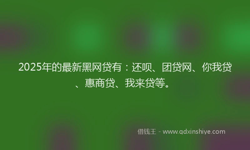 2025年的最新黑网贷有：还呗、团贷网、你我贷、惠商贷、我来贷等。