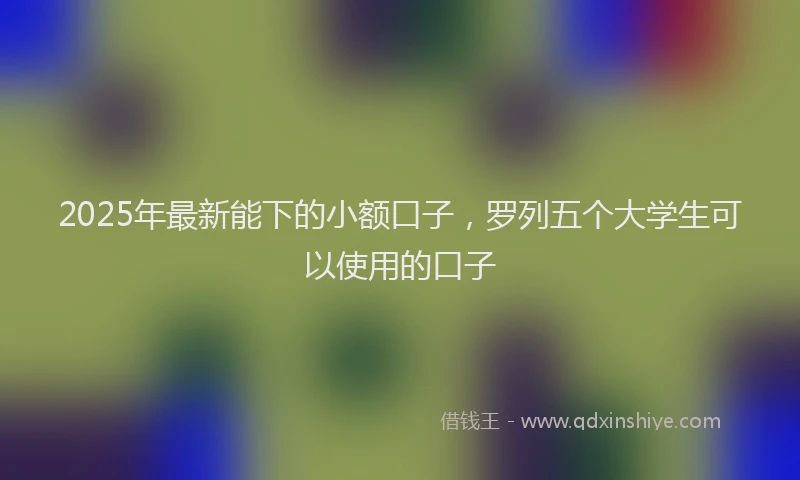 2025年最新能下的小额口子，罗列五个大学生可以使用的口子