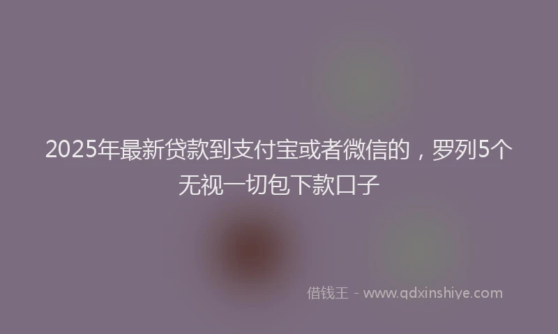 2025年最新贷款到支付宝或者微信的，罗列5个无视一切包下款口子