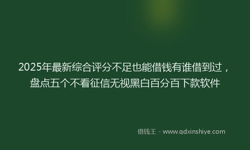 2025年最新综合评分不足也能借钱有谁借到过，盘点五个不看征信无视黑白百分百下款软件