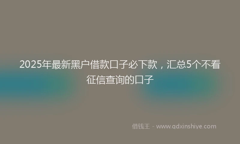 2025年最新黑户借款口子必下款，汇总5个不看征信查询的口子