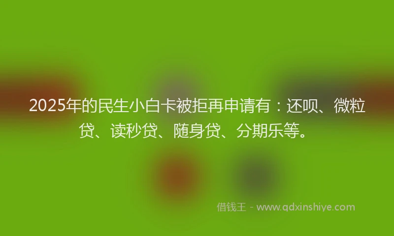 2025年的民生小白卡被拒再申请有：还呗、微粒贷、读秒贷、随身贷、分期乐等。
