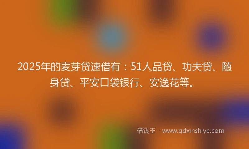 2025年的麦芽贷速借有：51人品贷、功夫贷、随身贷、平安口袋银行、安逸花等。