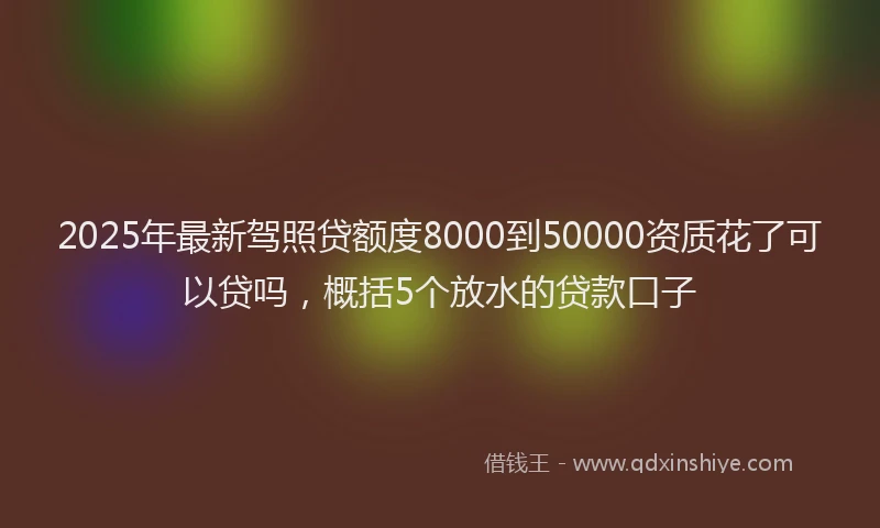 2025年最新驾照贷额度8000到50000资质花了可以贷吗，概括5个放水的贷款口子