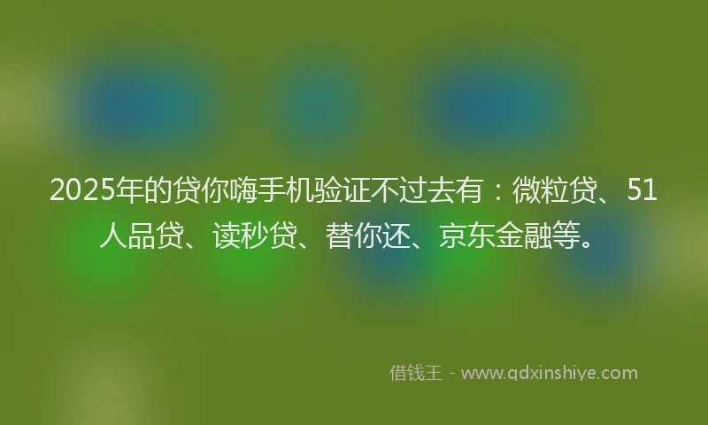2025年的贷你嗨手机验证不过去有：微粒贷、51人品贷、读秒贷、替你还、京东金融等。