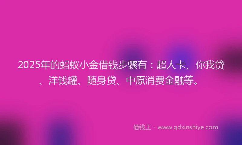 2025年的蚂蚁小金借钱步骤有：超人卡、你我贷、洋钱罐、随身贷、中原消费金融等。
