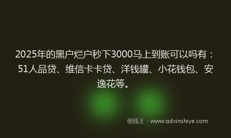 2025年的黑户烂户秒下3000马上到账可以吗有：51人品贷、维信卡卡贷、洋钱罐、小花钱包、安逸花等。