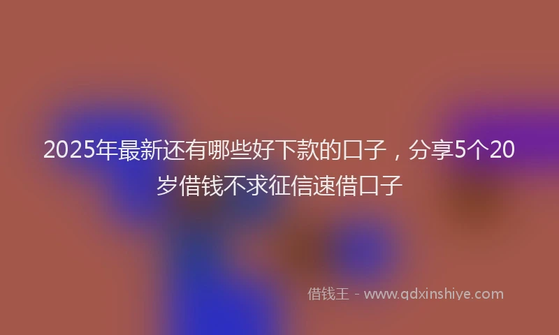 2025年最新还有哪些好下款的口子，分享5个20岁借钱不求征信速借口子
