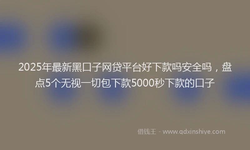 2025年最新黑口子网贷平台好下款吗安全吗，盘点5个无视一切包下款5000秒下款的口子