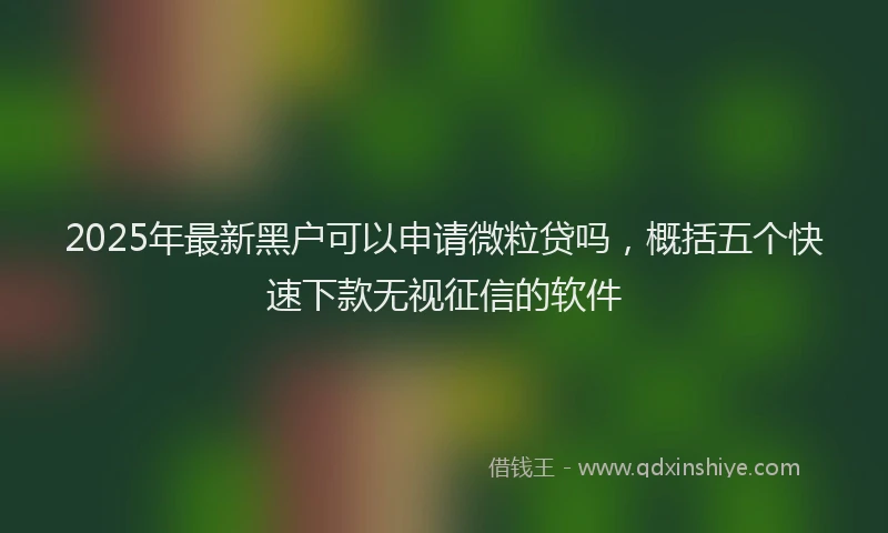 2025年最新黑户可以申请微粒贷吗，概括五个快速下款无视征信的软件