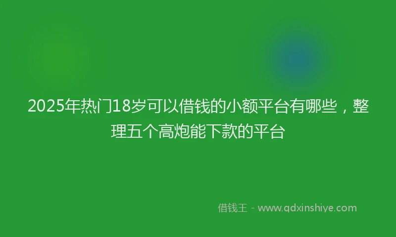 2025年热门18岁可以借钱的小额平台有哪些，整理五个高炮能下款的平台