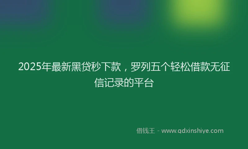 2025年最新黑贷秒下款，罗列五个轻松借款无征信记录的平台