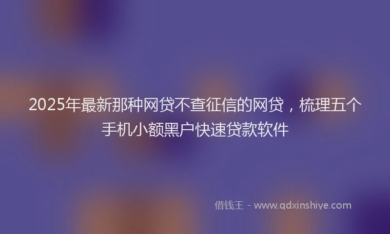 2025年最新那种网贷不查征信的网贷，梳理五个手机小额黑户快速贷款软件