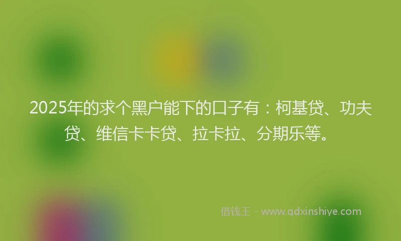 2025年的求个黑户能下的口子有：柯基贷、功夫贷、维信卡卡贷、拉卡拉、分期乐等。