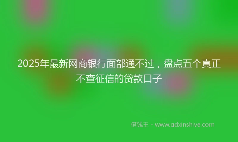 2025年最新网商银行面部通不过，盘点五个真正不查征信的贷款口子