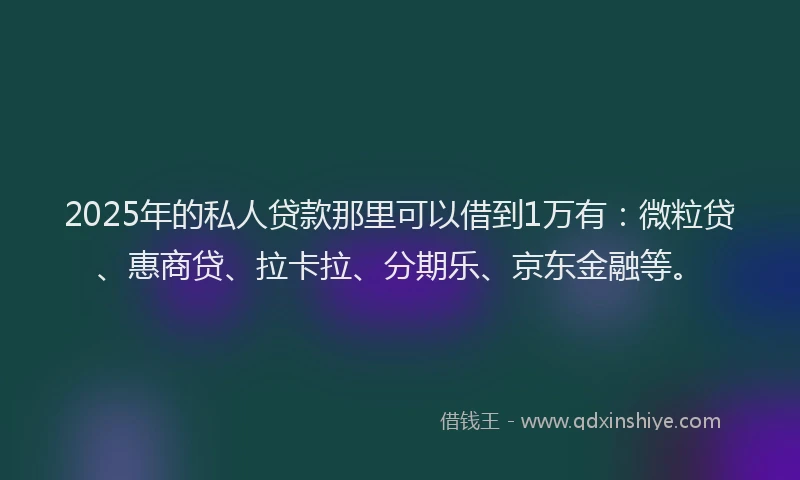 2025年的私人贷款那里可以借到1万有：微粒贷、惠商贷、拉卡拉、分期乐、京东金融等。