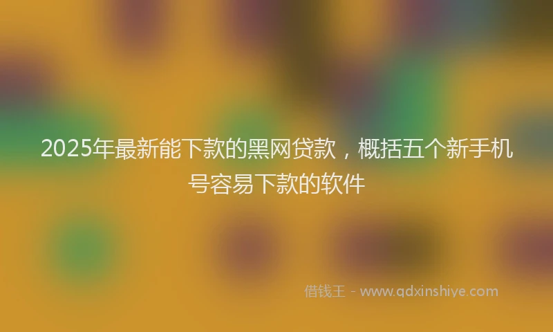2025年最新能下款的黑网贷款，概括五个新手机号容易下款的软件