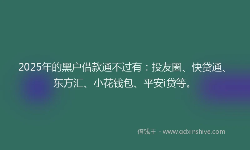 2025年的黑户借款通不过有：投友圈、快贷通、东方汇、小花钱包、平安i贷等。