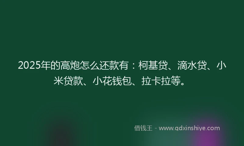 2025年的高炮怎么还款有：柯基贷、滴水贷、小米贷款、小花钱包、拉卡拉等。