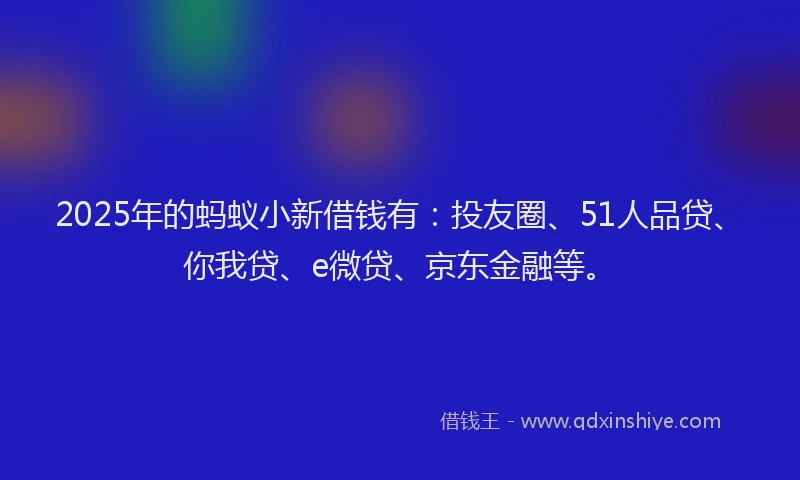 2025年的蚂蚁小新借钱有：投友圈、51人品贷、你我贷、e微贷、京东金融等。
