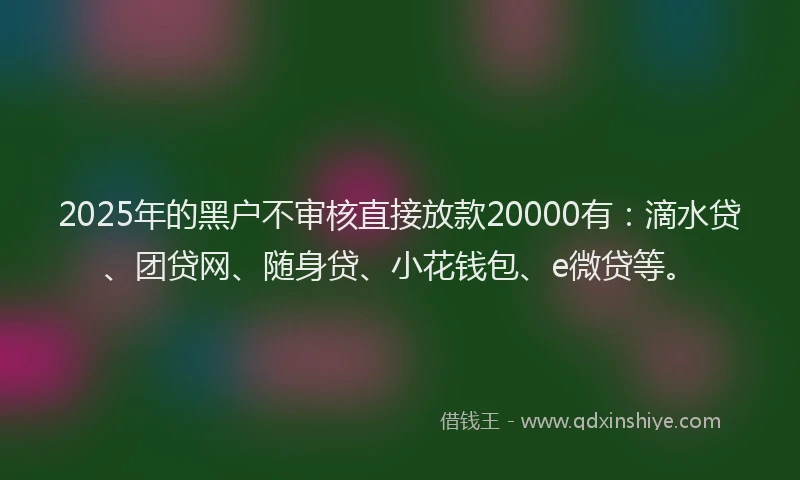 2025年的黑户不审核直接放款20000有：滴水贷、团贷网、随身贷、小花钱包、e微贷等。