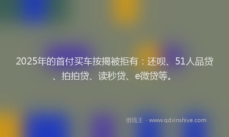 2025年的首付买车按揭被拒有：还呗、51人品贷、拍拍贷、读秒贷、e微贷等。